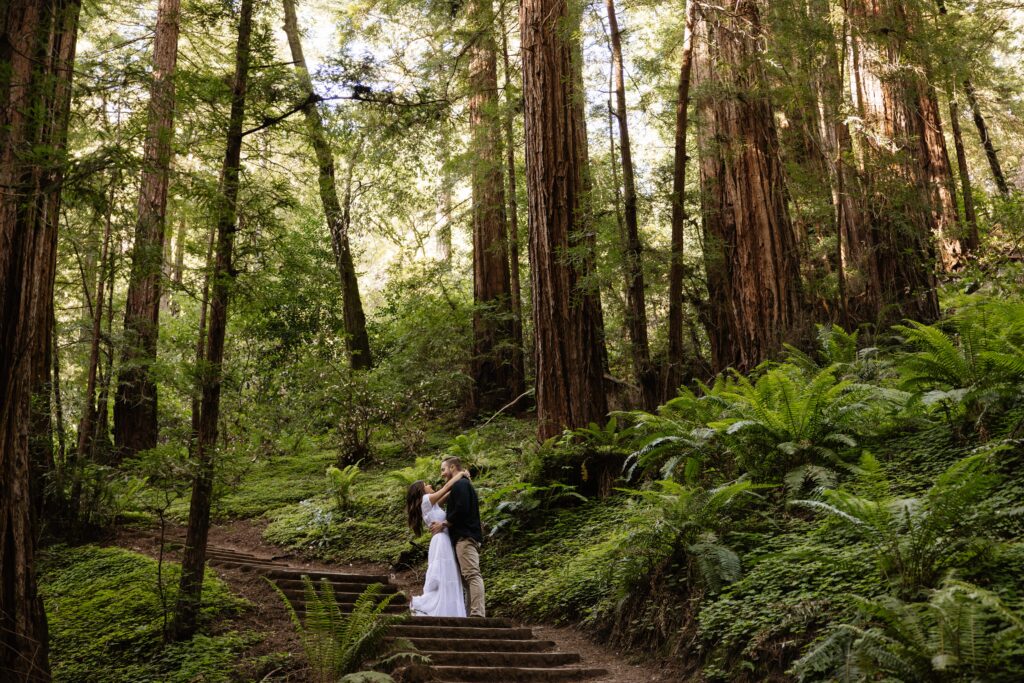 Muir Woods engagement